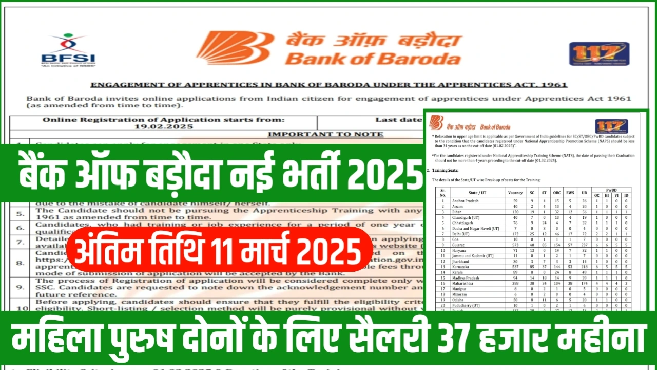 BOB Bank Vacancy 2025