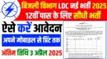 Vidyut Vibhag LDC Vacancy 2025