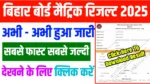 Bihar Board Matric Result 2025