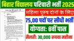 Bihar vidyalaya parichari Bharti 2025
