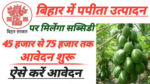 Bihar Papaya yojana 2025