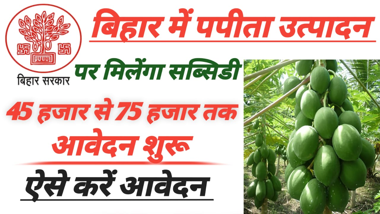 Bihar Papaya yojana 2025